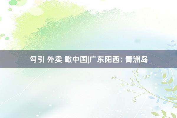 勾引 外卖 瞰中国|广东阳西: 青洲岛