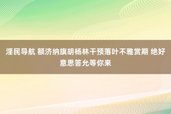 淫民导航 额济纳旗胡杨林干预落叶不雅赏期 绝好意思答允等你来