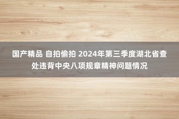 国产精品 自拍偷拍 2024年第三季度湖北省查处违背中央八项规章精神问题情况