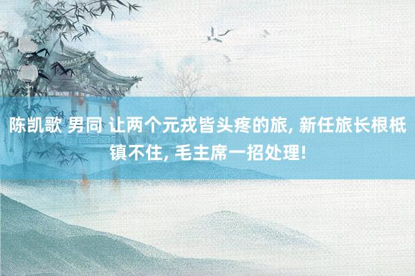 陈凯歌 男同 让两个元戎皆头疼的旅， 新任旅长根柢镇不住， 毛主席一招处理!