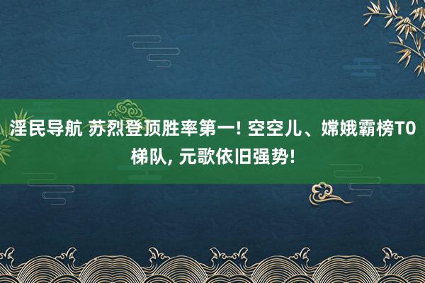 淫民导航 苏烈登顶胜率第一! 空空儿、嫦娥霸榜T0梯队， 元歌依旧强势!
