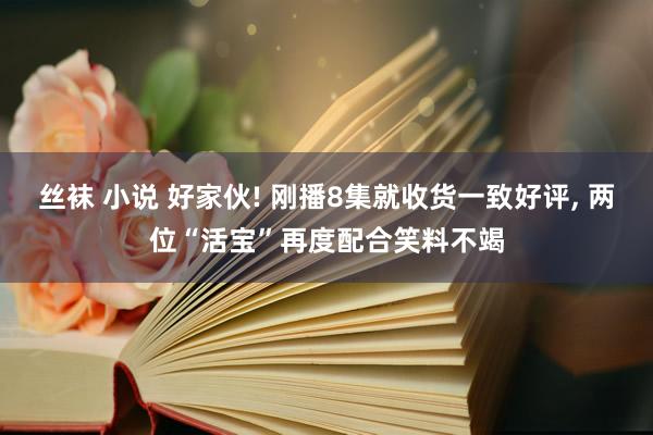 丝袜 小说 好家伙! 刚播8集就收货一致好评， 两位“活宝”再度配合笑料不竭